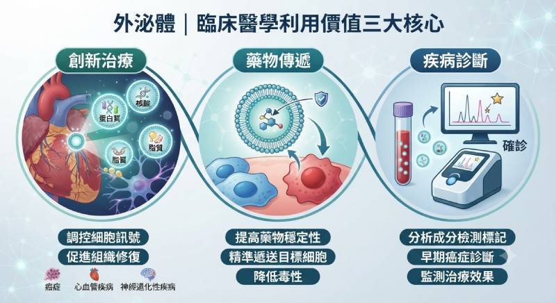 外泌體臨床醫學應用圖解:涵蓋疾病治療、精準藥物傳遞與早期疾病診斷三大價值。