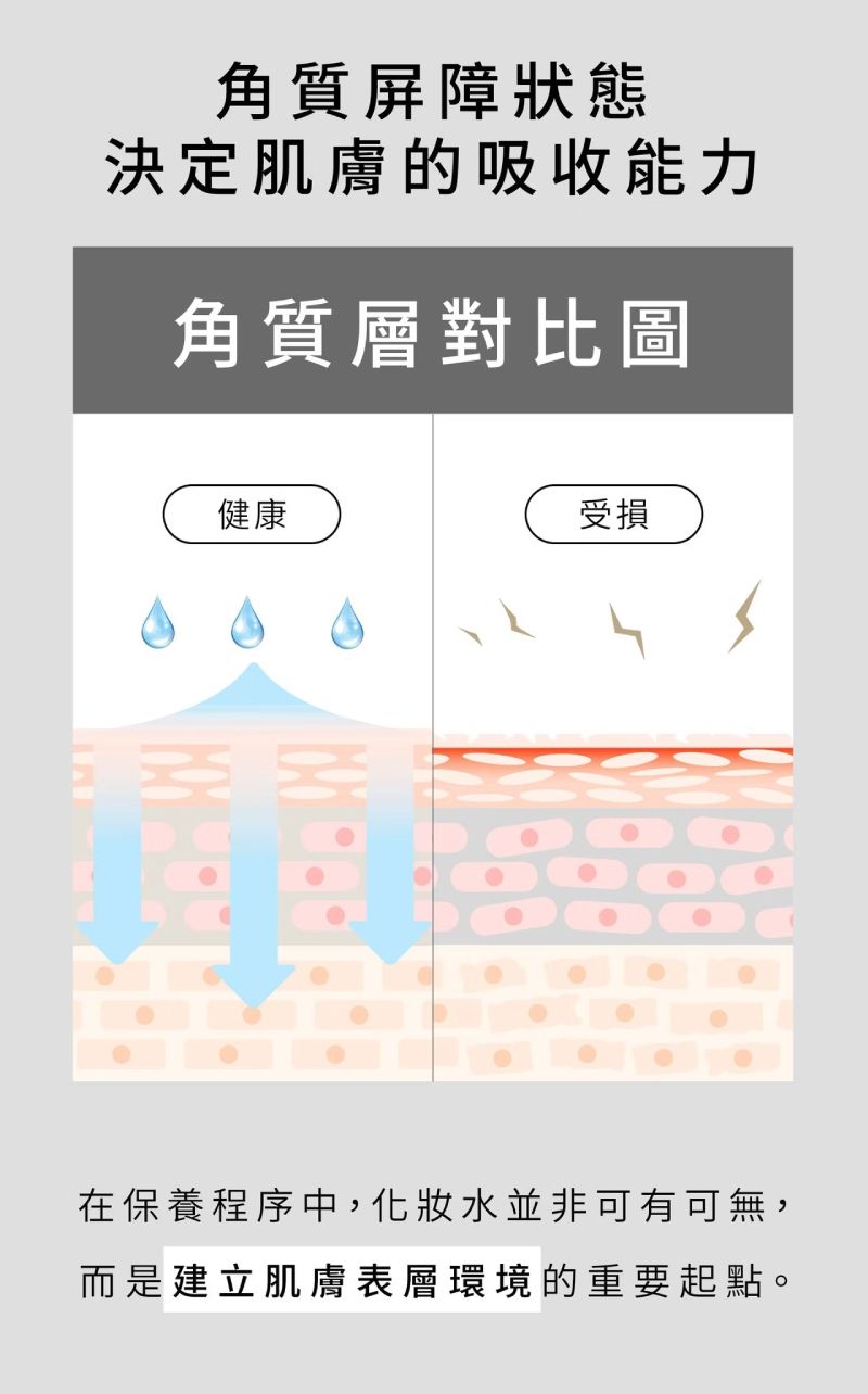 角質屏障狀態決定吸收能力，諾亞外泌體精萃化妝水是建立肌膚環境的重要起點