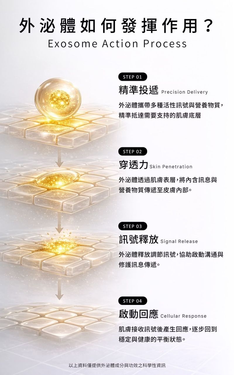外泌體如何發揮作用？諾亞外泌體復甦面膜精準投遞與深層肌膚穿透力